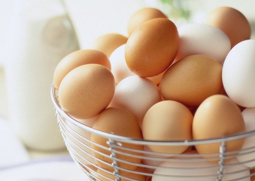 You will be shocked to know that you get so many healthy benefits by consuming eggs You will be shocked to know that you get so many healthy benefits by consuming eggs अंडे