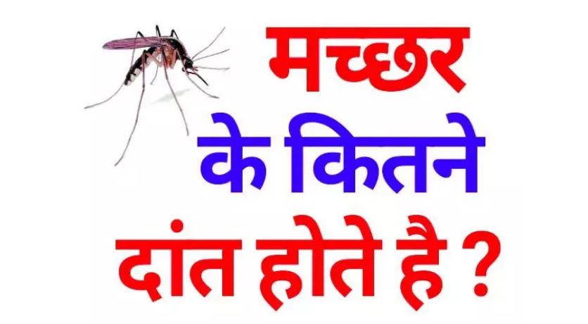 IAS Interview Question How many teeth does a mosquito have Must know the answer