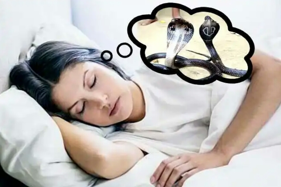 If a snake appears in a dream, then know what it means