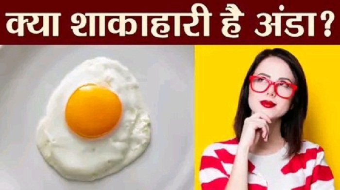 Know what the scientists told the egg from the wedge or non-veg