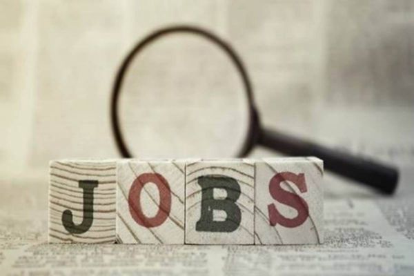 Microsoft will organize Job Fair in Amritsar from 24 to 30 September