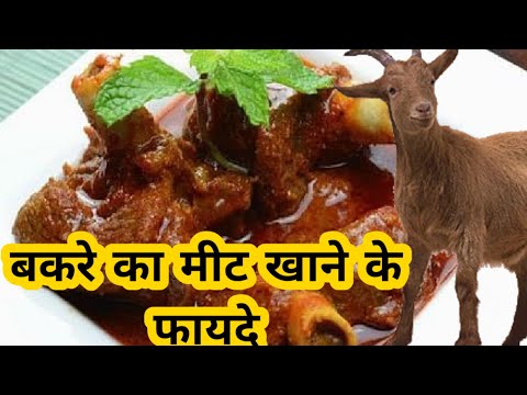 talk-about-nomination-knowing-the-benefits-of-eating-goat-meat-you-will-also-start-consuming-it-definitely-read बकरे