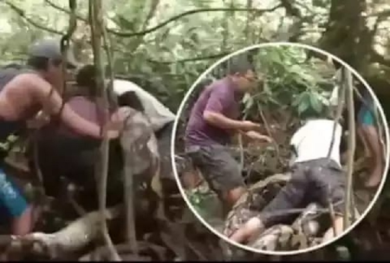 27-foot-long dragon attacked the fishing man, surprised to see what happened then