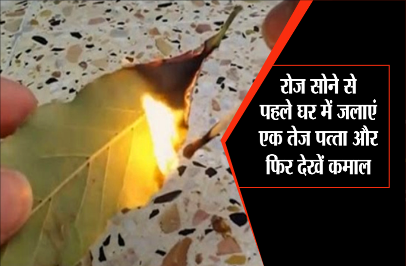 by-burning-just-one-leaf-mosquitoes-in-the-house-will-do-what-you-never-thought मच्छर