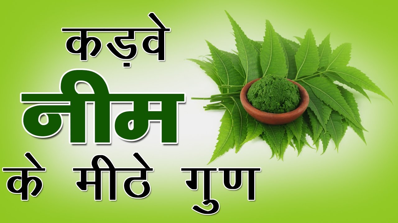 if-you-know-then-know-that-using-neem-leaves-raj-is-eliminated-from-the-root नीम के पत्तों