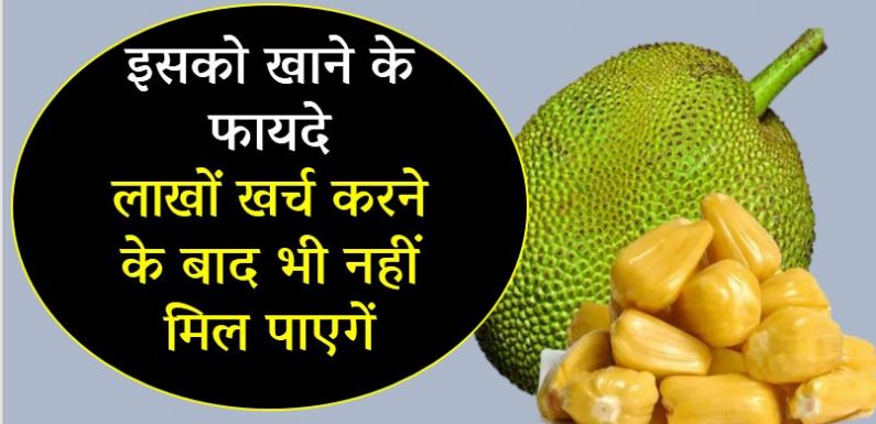 jackfruit-seeds-will-not-get-the-benefits-of-eating-it-even-after-spending-millions लाखों खर्च