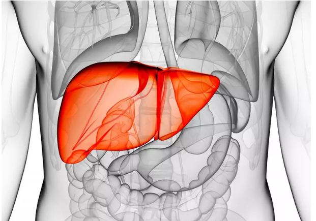 Be careful if these 5 signs start appearing on your body, then understand that your liver is in danger.