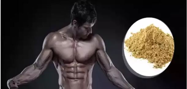 Eat this powder to make lean body fat in 7 days, with guarantee
