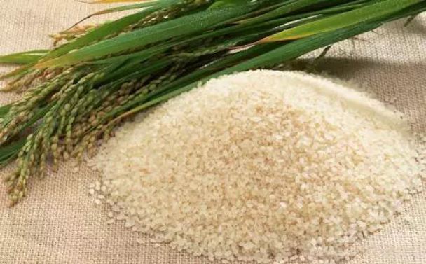 Knowing the 7 miraculous benefits of eating rice, you will go to the square