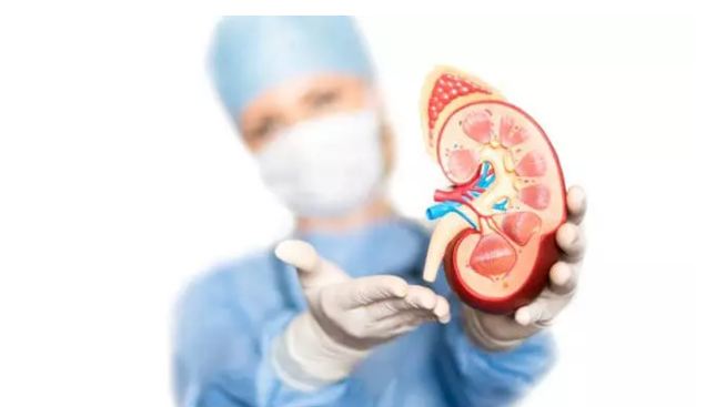 These 5 foods will keep your kidney always healthy, eat them daily