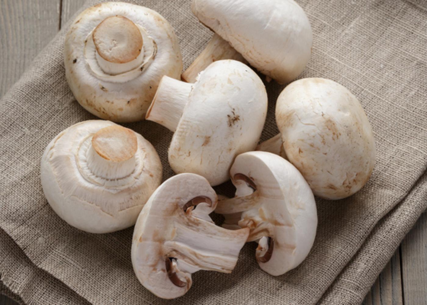 Do you know this specialty of mushrooms, if you know then you will start eating from now