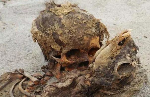 Burial Raj exposed for 550 years, remains of 140 children found in excavation