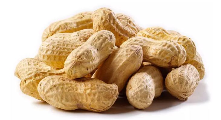 Eat 10 rupees peanuts in winter, will always stay away from these 10 serious diseases
