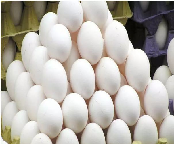 Must read this news by clicking Egg Eater