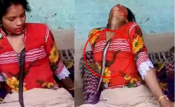 The snake wrapped around the girl's body for 3 hours, what happened after that was shocking