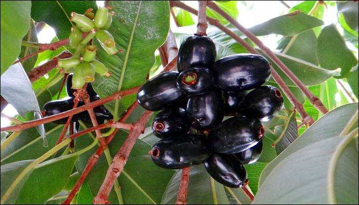This fruit removes liver inflammation, you should also try