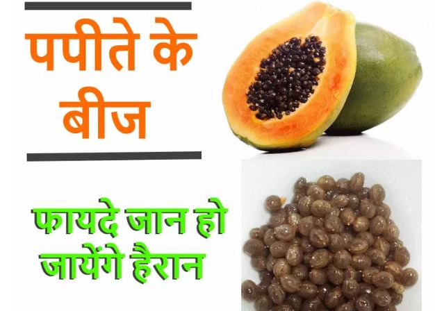 A teaspoon of papaya seeds powdered in the morning, the body has so many benefits, click