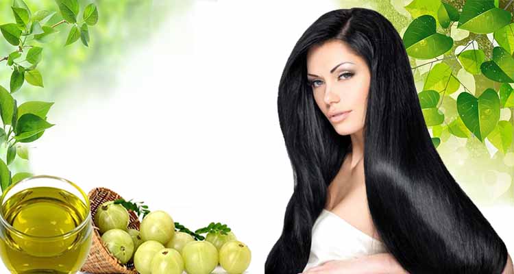 Amla is so beneficial for hair that you will be surprised to know