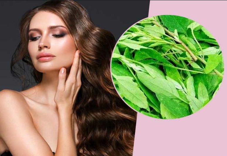 Bathua is beneficial for your health from hair in winter