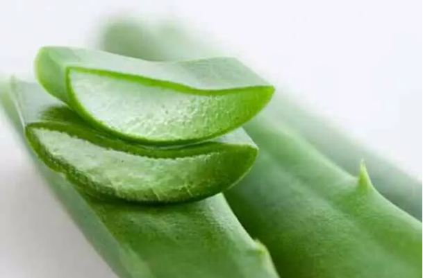 4 diseases that are eliminated from the root using aloe vera