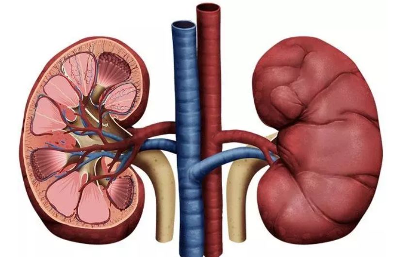 Do not consider this sign of kidney failure as normal, is this happening to you too