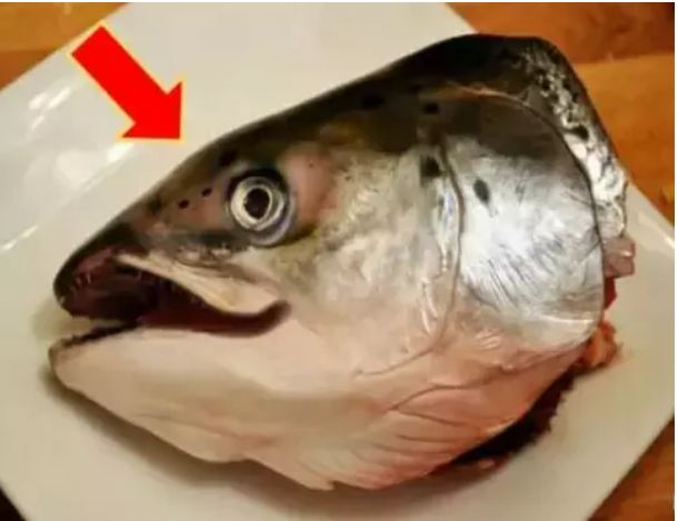 Do you also eat the head of the fish, so it will be late today to know the truth or else