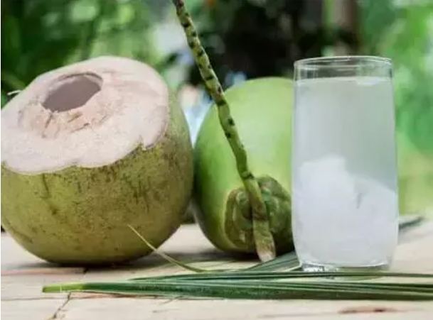 Drinking coconut water eliminates the root, these 3 diseases