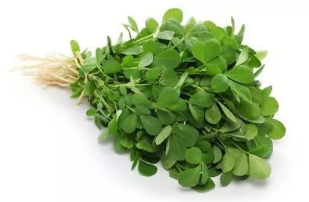 Eating green fenugreek can eliminate this 4 problem