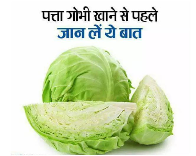 If you know before eating cabbage, you may face a huge loss if you do not.