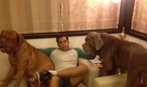These pictures of Salman Khan's house are hardly seen before, live such a life