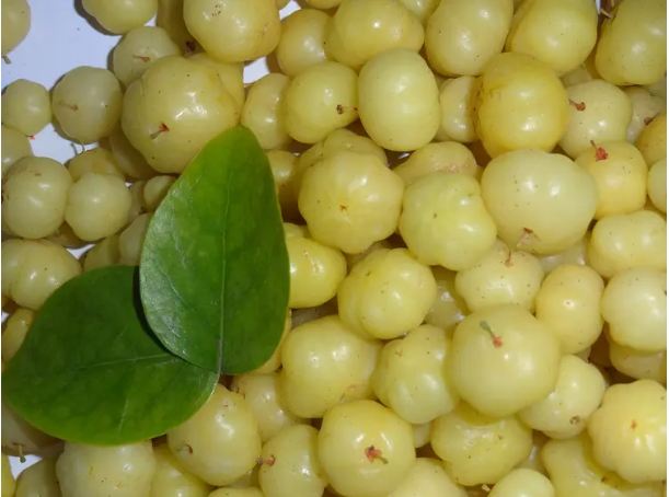 You will be surprised to know the huge benefits of eating Amla