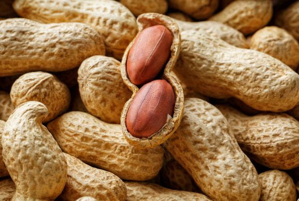 Eating peanuts soaked in winter in the morning does not even bring such problems
