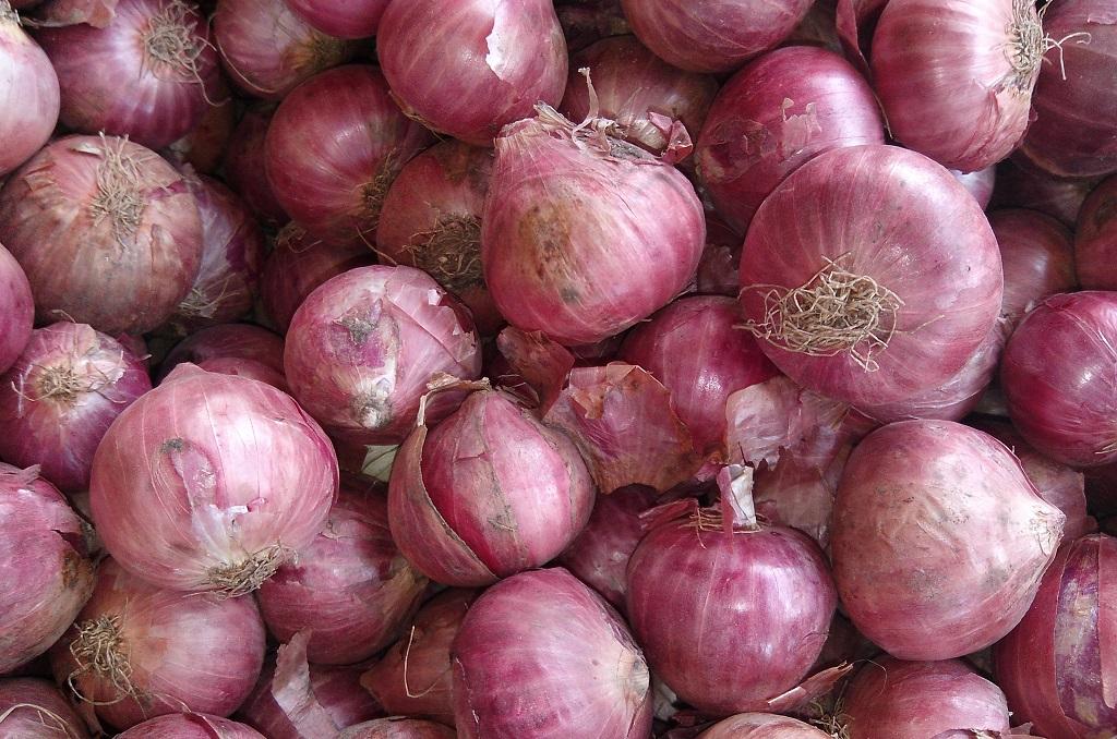 You will be surprised to know about the benefits of eating onions.