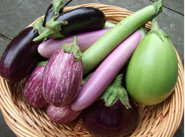 Know the properties of brinjal vegetable, which have not yet been known.