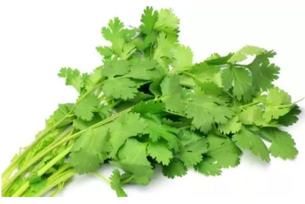 Coriander leaves can improve your skin color