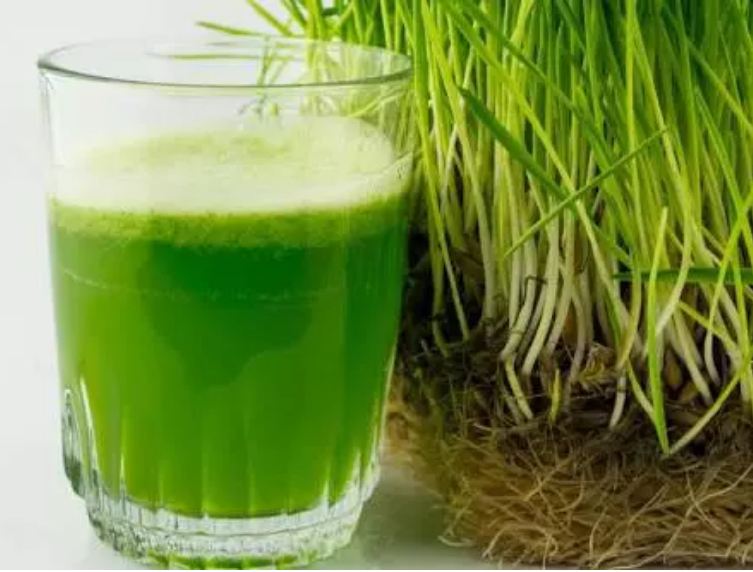Earth's green blood is the juice of jowar, its consumption cures the greatest disease.