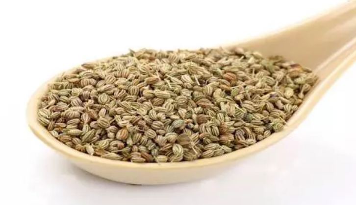 Fennel sharpens the mind and benefits the eyes