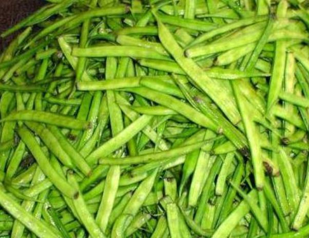 Guar bean is the name for eradicating diseases.