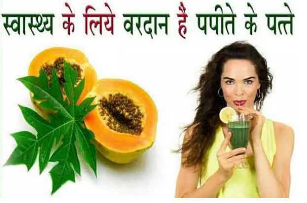 Papaya leaves are a boon for health, you will be surprised knowing the benefits