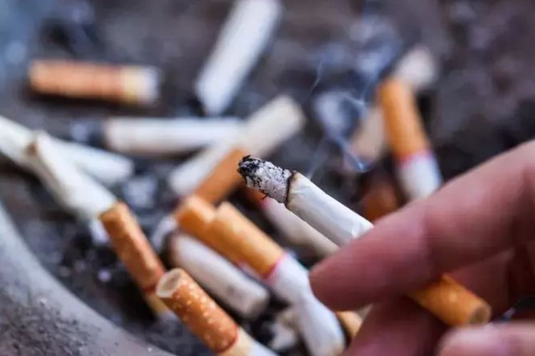 Want to quit smoking forever, know this Ayurvedic remedy