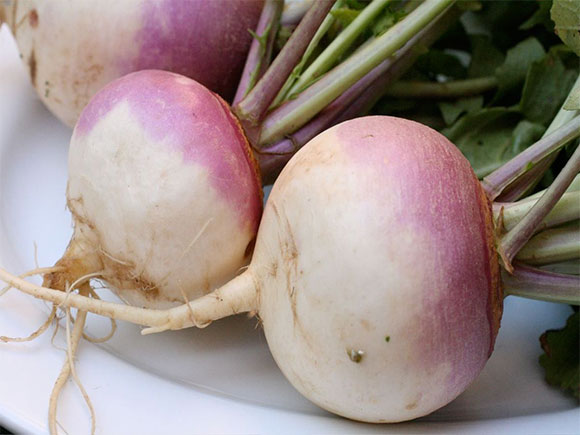 You will be stunned by the benefits of taking turnip