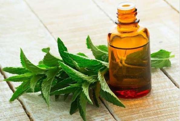 Put 2 drops of neem oil on your navel before sleeping at night, then see its miraculous benefits.