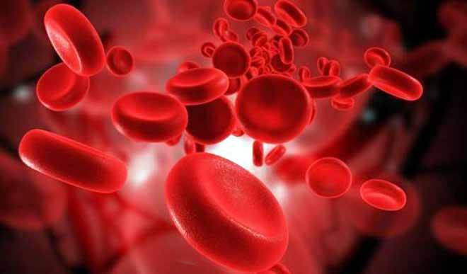 Some home remedies to increase blood which you may not have known before