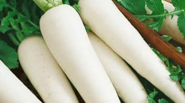Include in diet radishes will not get diabetes and benefits, know