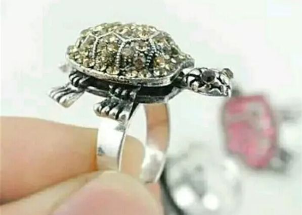 If these zodiac signs will wear turtle ring then they can become a millionaire, all wishes will be fulfilled
