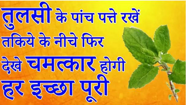 Tulsi leaves will satisfy your wish - see if you are not sure