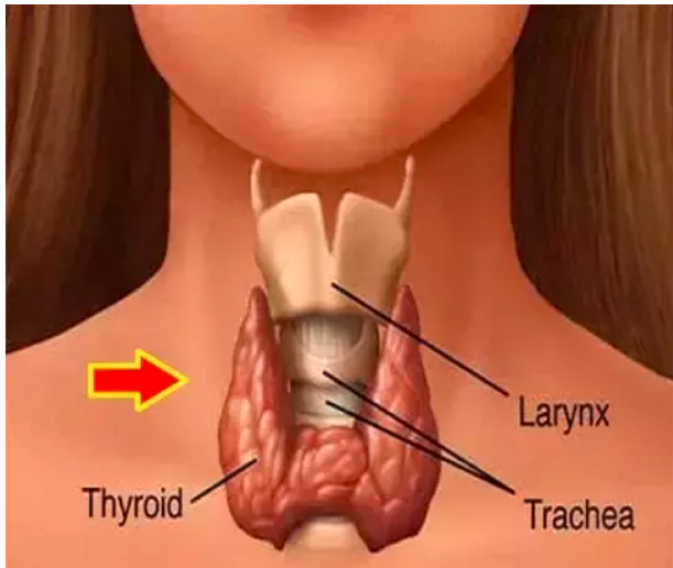 If you are also troubled by thyroid problem, then take this easy solution