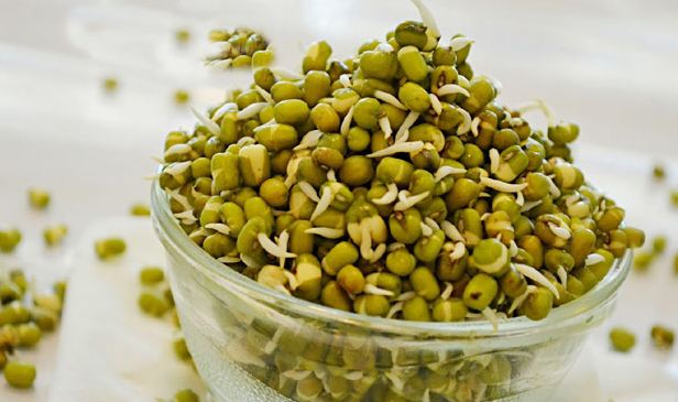 Eat a handful of sprouted moong dal daily, and watch it in 15 days