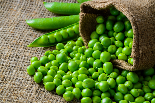 Green pea keeps weight under control, learn its many benefits