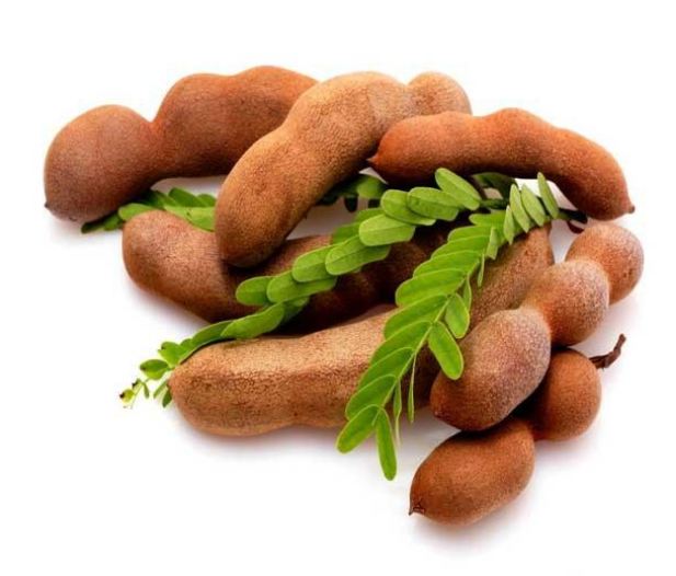 Hearing the name of tamarind, tremendous benefits of such water coming in the mouth, knowledgeable people will be surprised.